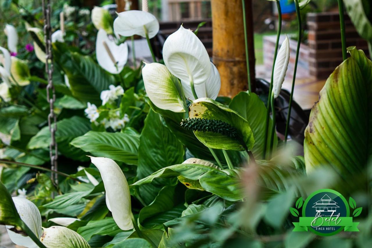 Finca Hotel Betel San Carlos Luaran gambar
