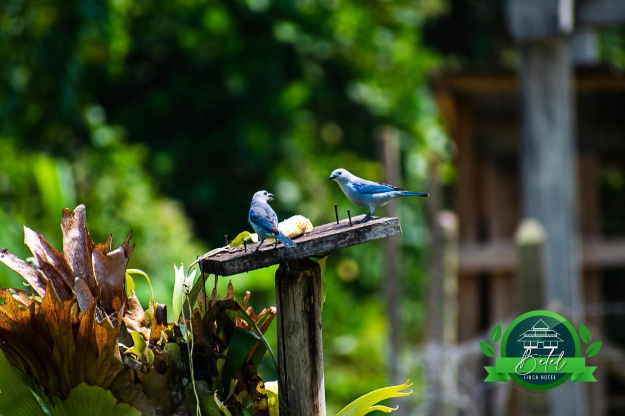 Finca Hotel Betel San Carlos Luaran gambar