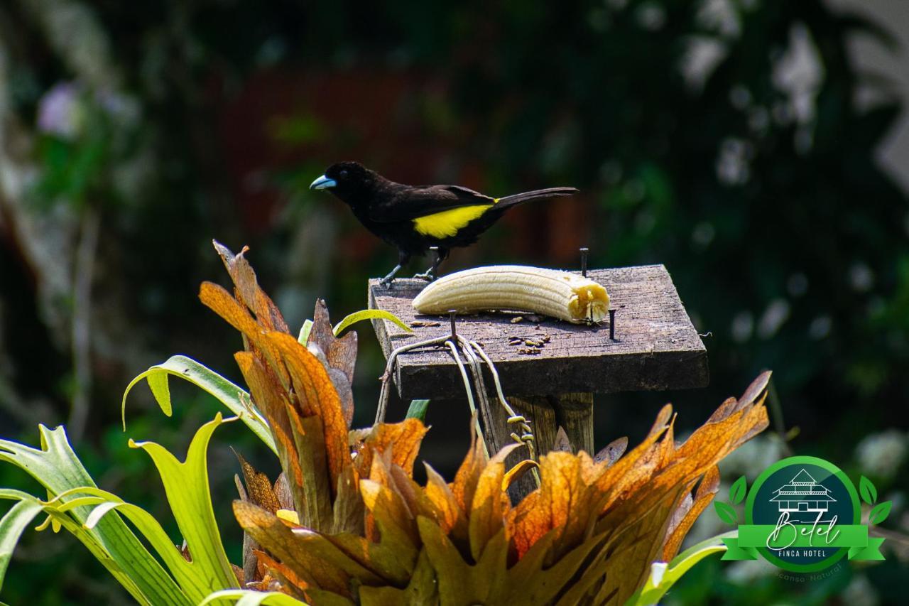 Finca Hotel Betel San Carlos Luaran gambar